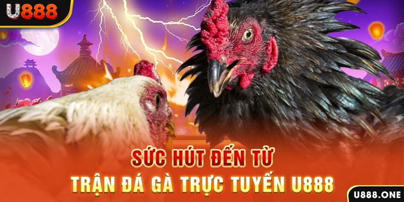 aev99 đá gà trực tiếp c1