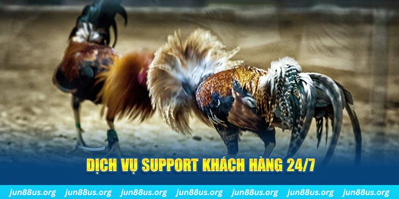 aev99 ÁT CHỦ BÀI GIÀNH LẤY ZHUANG NIUNIU ( XEM 4 LÁ )