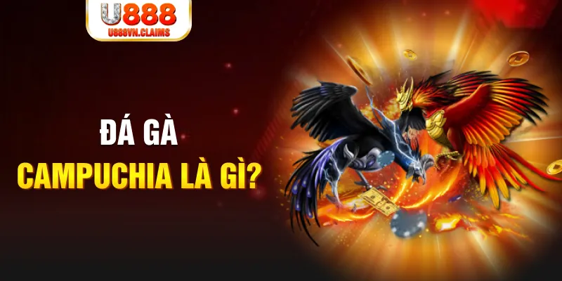 aev99 bắn cá vàng h5