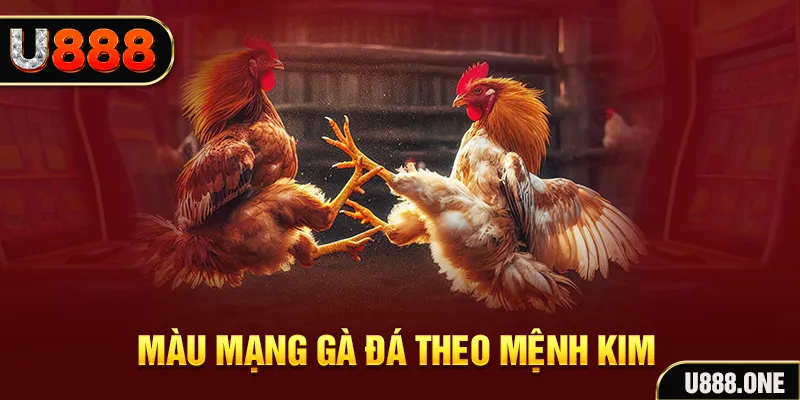 aev99 Cỡ bảy