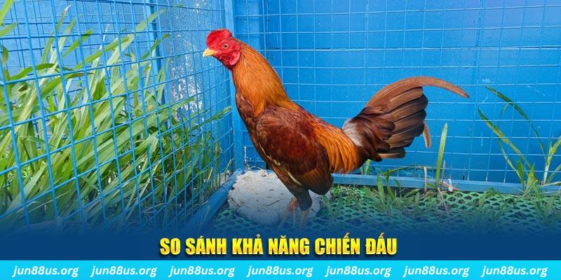 aev99 CQ9 Điện Tử