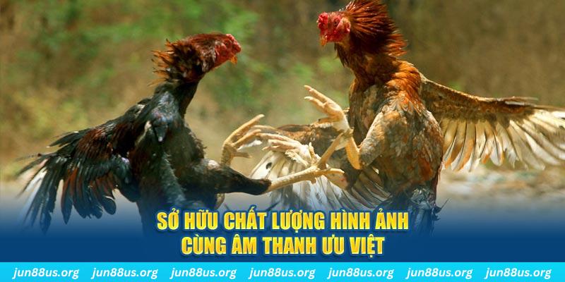 aev99 PP Điện Tử