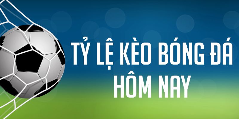 aev99 gà chọi c1 mới nhất