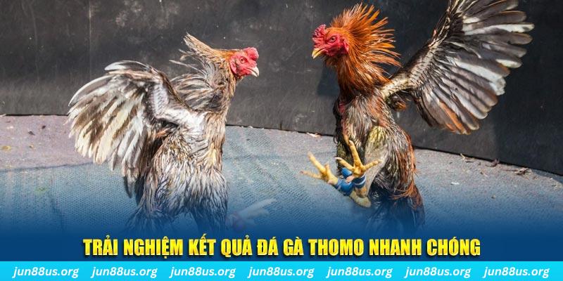 aev99 tai game danh bai bigkool ve may tinh