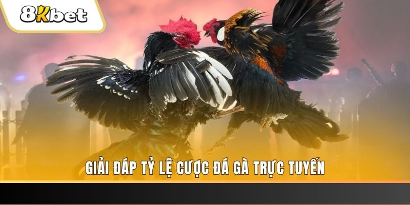 aev99 xổ số đài miền trung