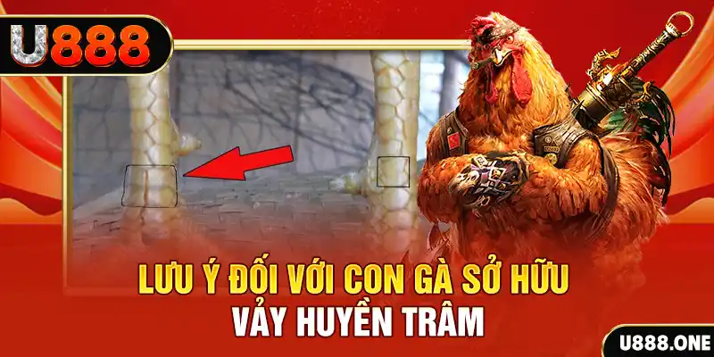 aev99 kết quả xổ số miền nam hôm nay