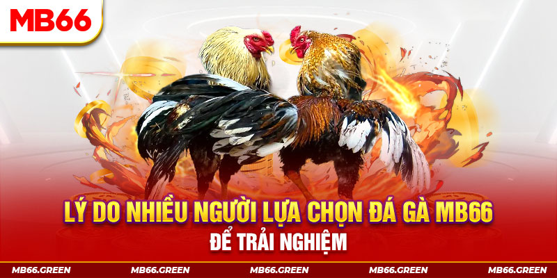 aev99 xổ số miền bắc thứ bảy hàng tuần