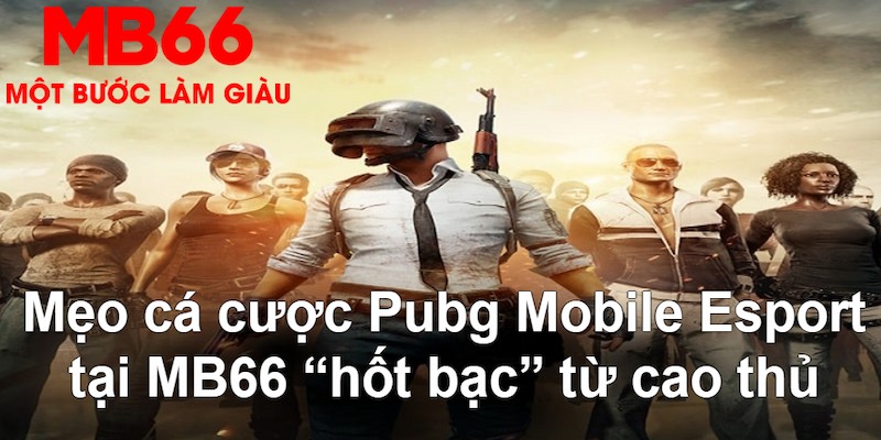 aev99 VA Bắn cá