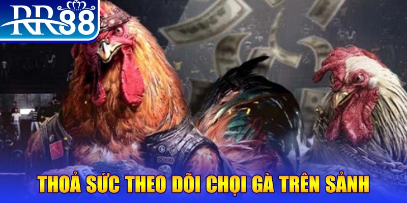 aev99 trực tiếp đá gà c1