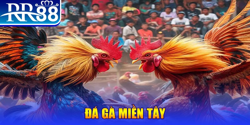 aev99 no hu doi thuong ai