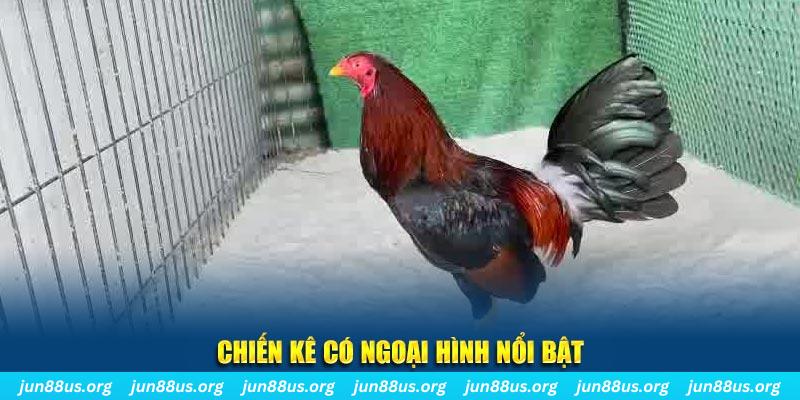 aev99 game nổ hũ là gì