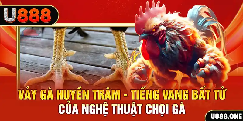 aev99 xổ số miền bắc ngày hôm nay
