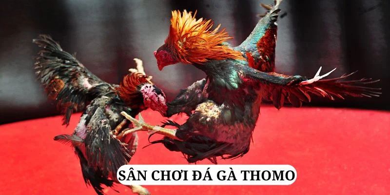 aev99 trực tiếp xổ số miền bắc